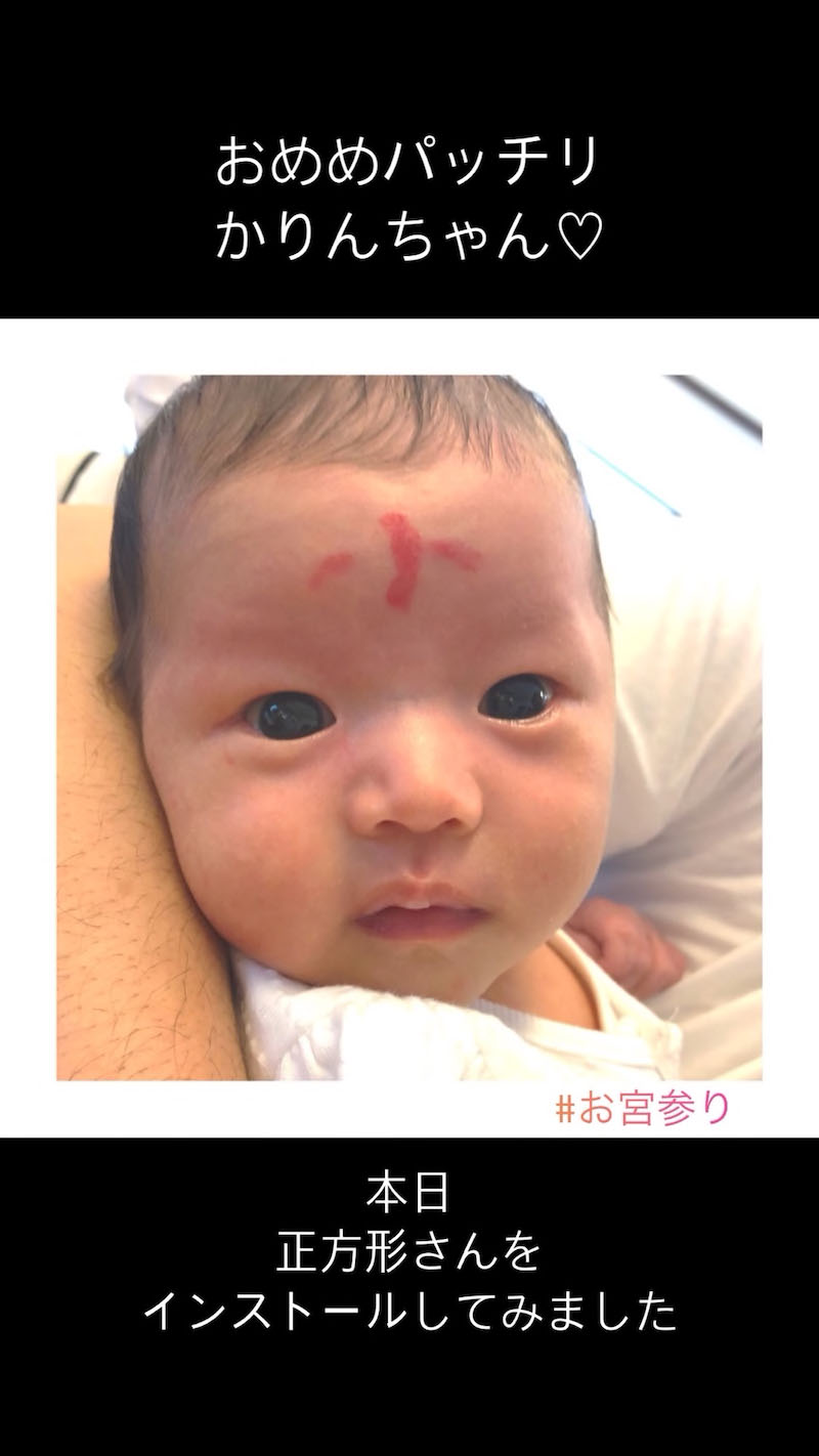 盛りだくさんの日曜日の画像