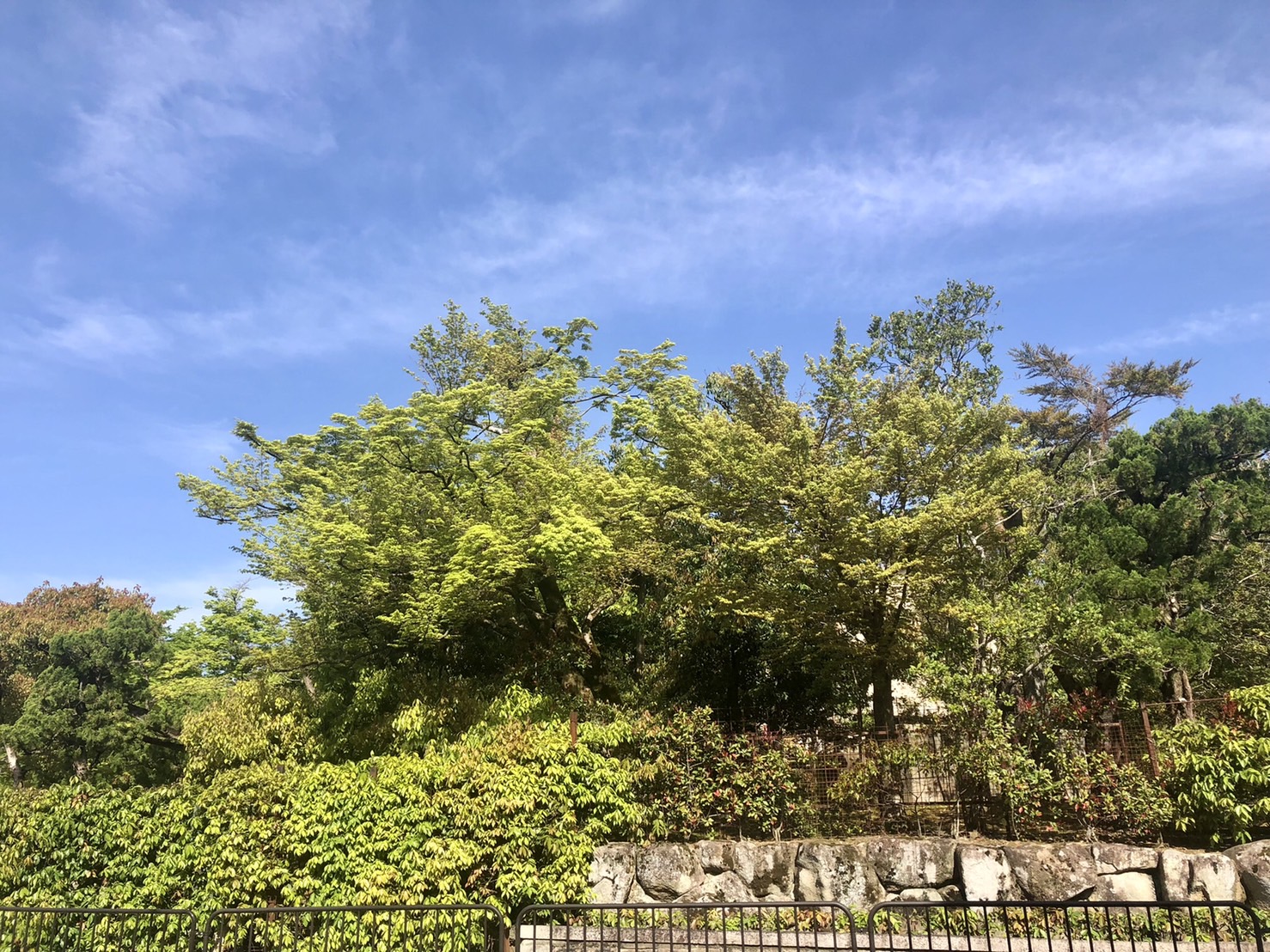 半年ぶりです！の画像